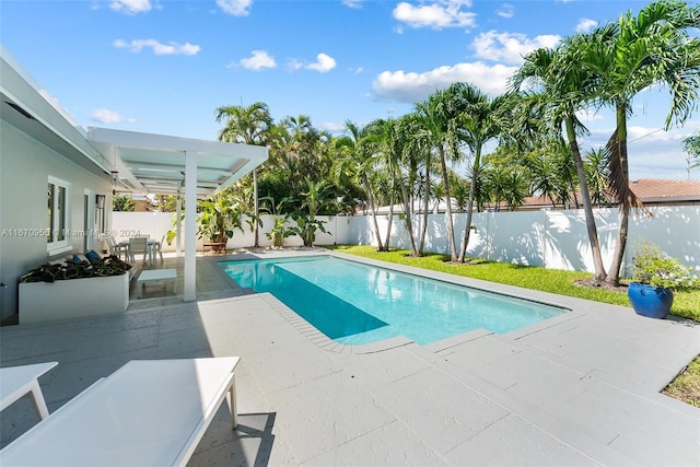 view of swimming pool with a patio