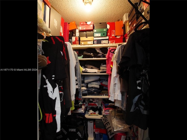 view of walk in closet