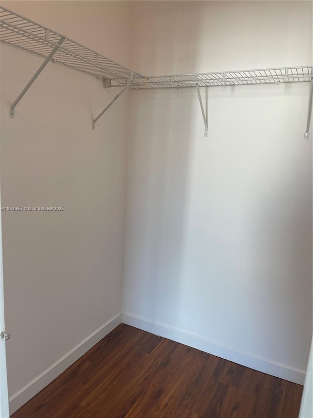 walk in closet featuring dark hardwood / wood-style floors