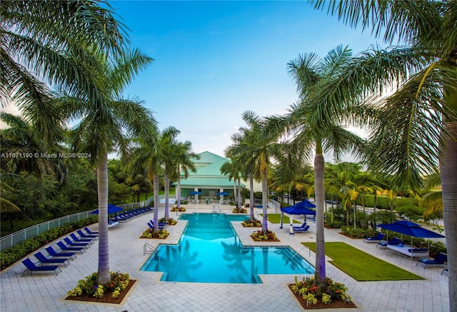 view of pool featuring a patio