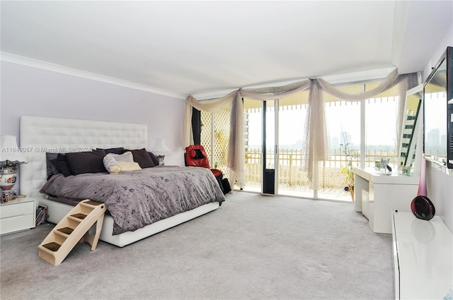bedroom with carpet floors, ornamental molding, and access to exterior