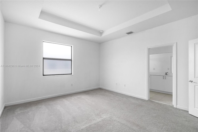 unfurnished room featuring light colored carpet and a raised ceiling