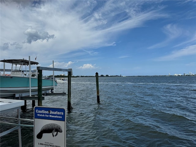 dock area with a water view