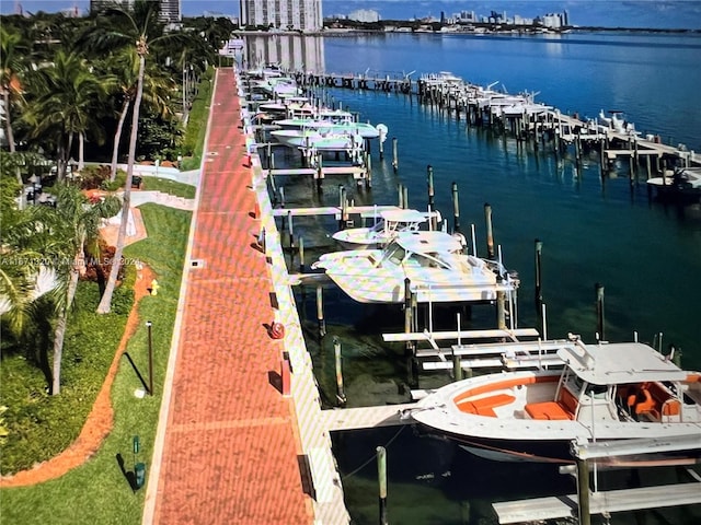 dock area featuring a water view