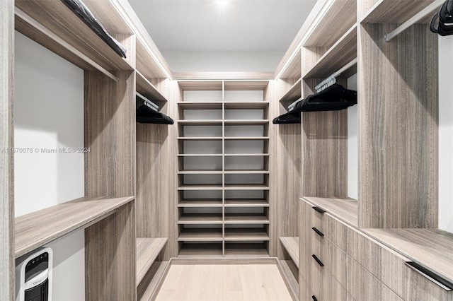 spacious closet featuring light wood-type flooring