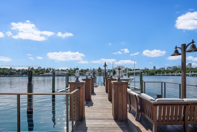 dock area with a water view