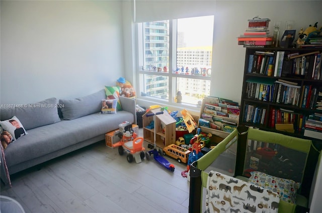 rec room featuring hardwood / wood-style flooring