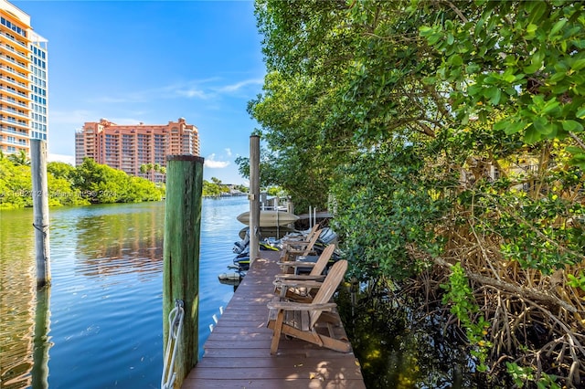 dock area with a water view