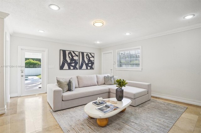 living room with ornamental molding and plenty of natural light