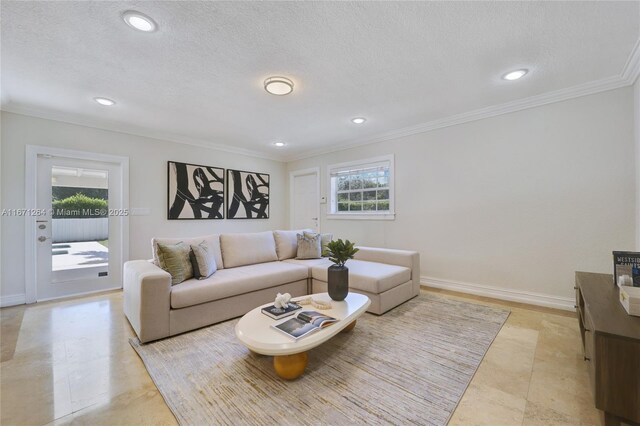 living room with crown molding and a textured ceiling