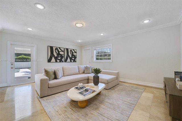 living area featuring ornamental molding, a healthy amount of sunlight, a textured ceiling, and baseboards