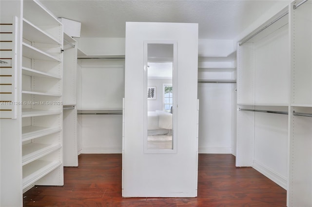 spacious closet with dark wood finished floors