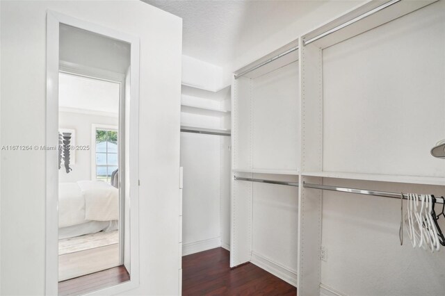 spacious closet with dark hardwood / wood-style floors