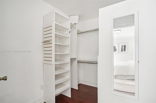 spacious closet with dark wood-style floors