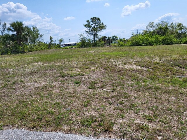 1725NE 5th Pl, Cape Coral, FL 33909 - photo 1