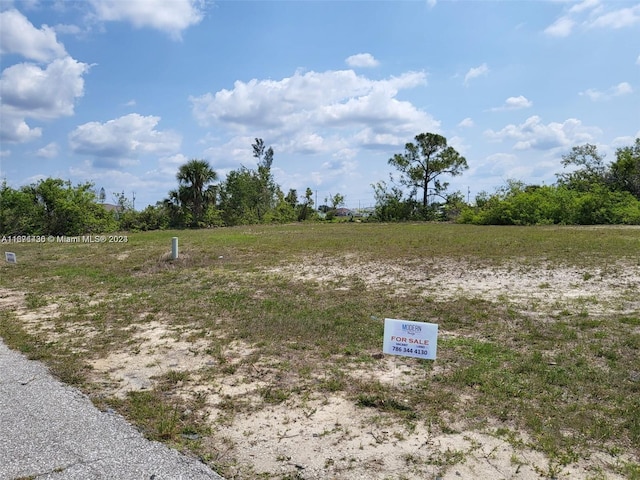 1725NE 5th Pl, Cape Coral, FL 33909 - photo 4