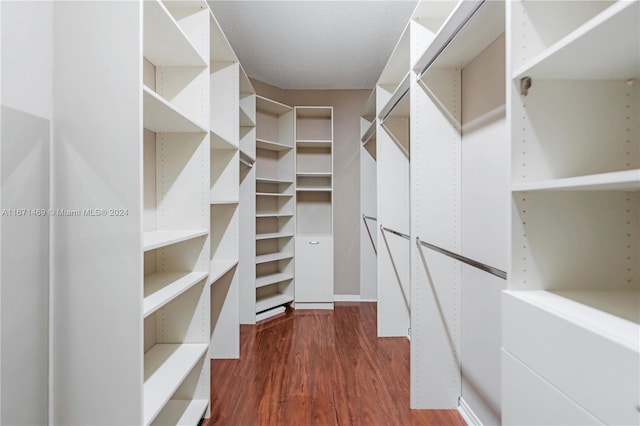 spacious closet featuring dark hardwood / wood-style flooring