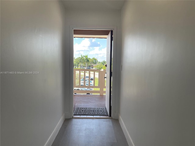 entryway featuring wood-type flooring