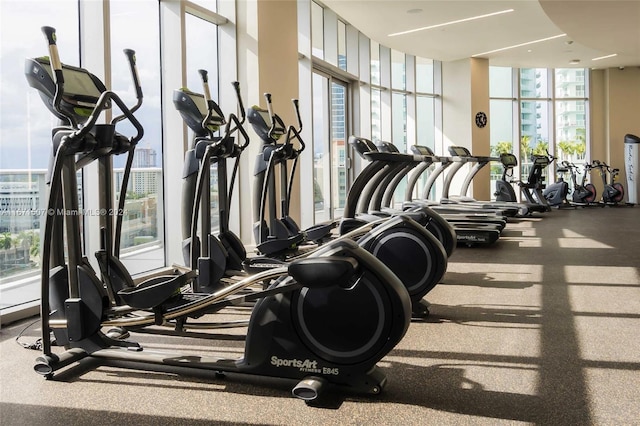 exercise room featuring floor to ceiling windows