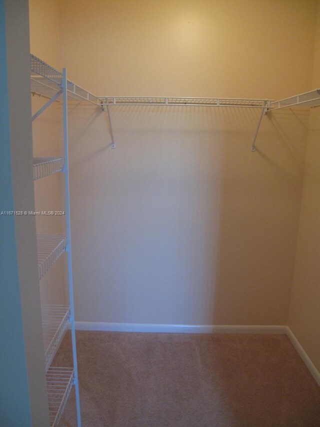 9511 Weldon Cir Unit G402, Tamarac, FL 33321 - walk in closet with carpet