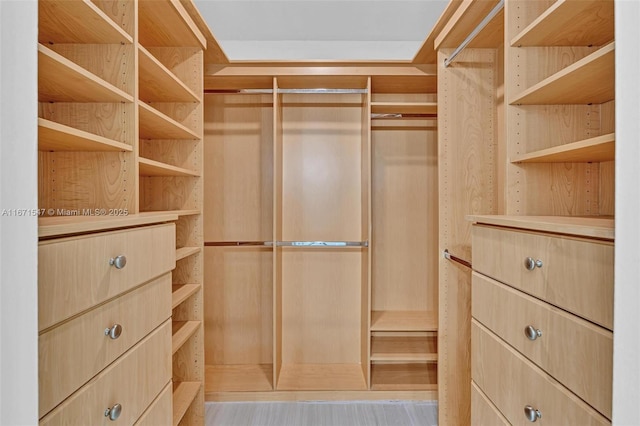 view of walk in closet