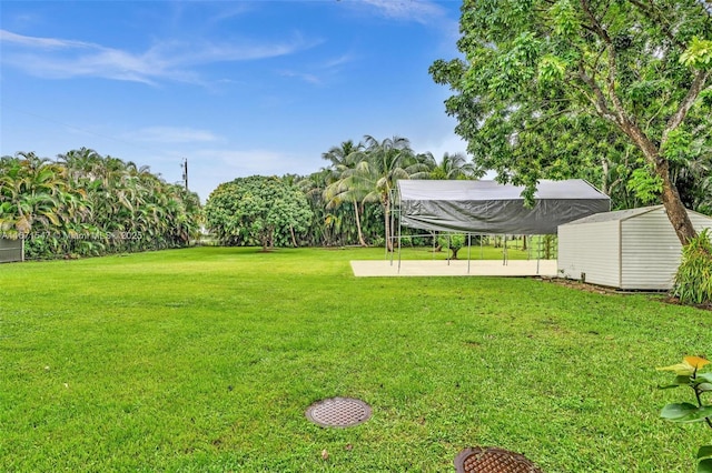 view of yard featuring a patio area