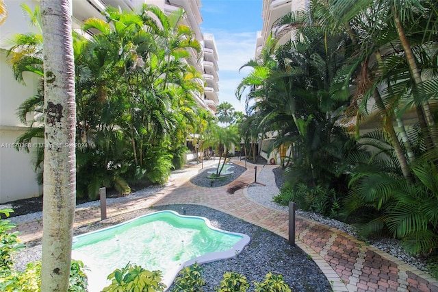 view of swimming pool featuring a patio area