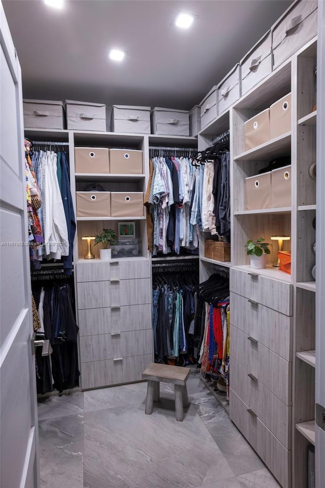 view of walk in closet