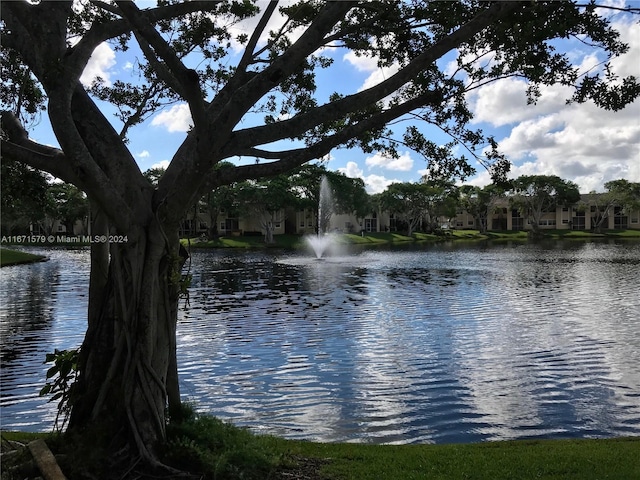 view of water feature