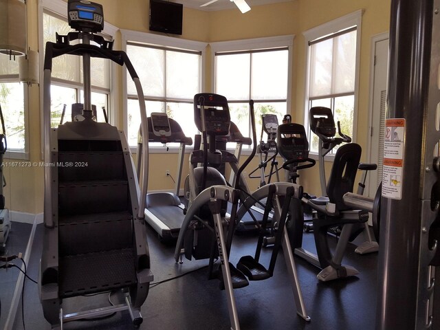 exercise room with plenty of natural light