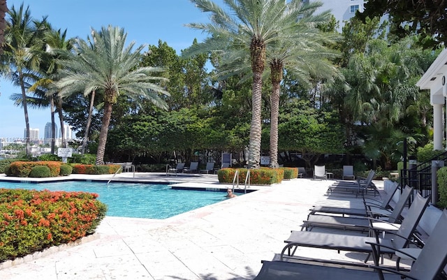 view of swimming pool featuring a patio area