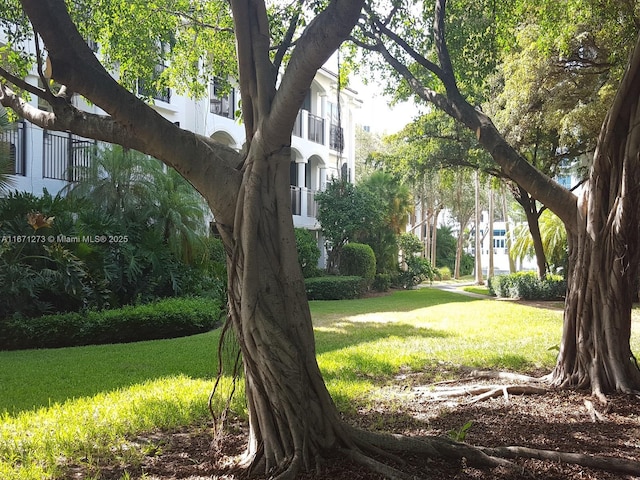 3225 NE 184th St Unit 10103, Aventura, FL 33160 - view of green lawn
