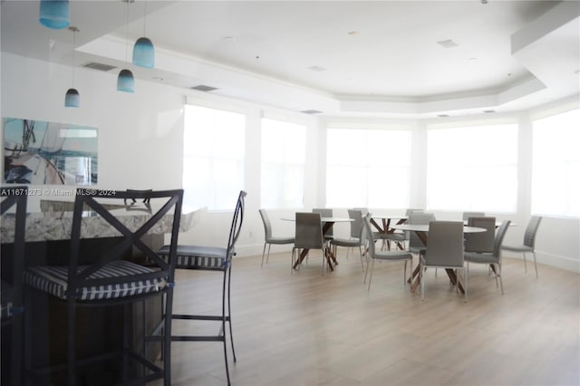 dining area with hardwood / wood-style floors, a raised ceiling, and a healthy amount of sunlight