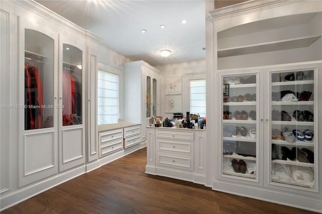 spacious closet with dark hardwood / wood-style flooring