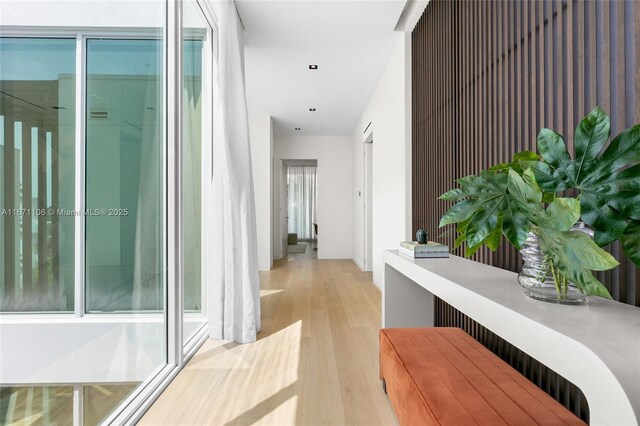 hallway with light hardwood / wood-style floors and plenty of natural light