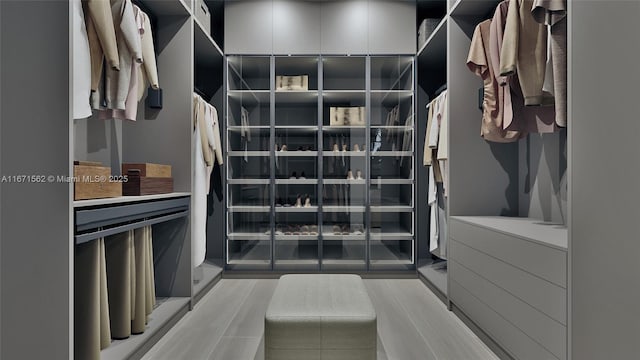 view of walk in closet