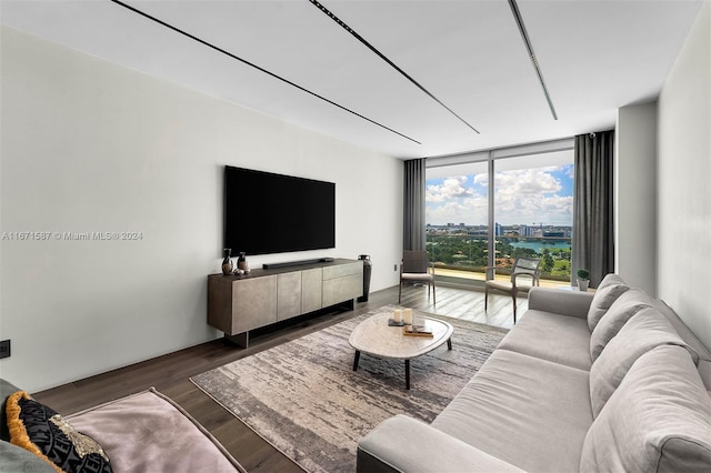 living room featuring expansive windows and dark wood-type flooring