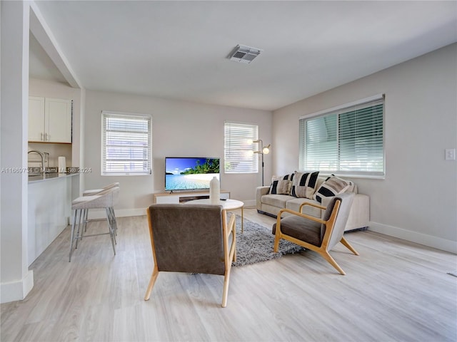 living room with light hardwood / wood-style flooring and a wealth of natural light