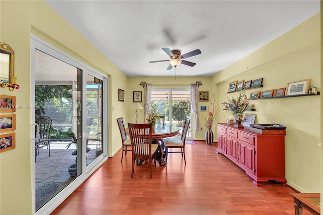 dining area featuring ceiling fan and hardwood / wood-style floors