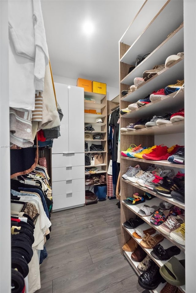 spacious closet with wood-type flooring