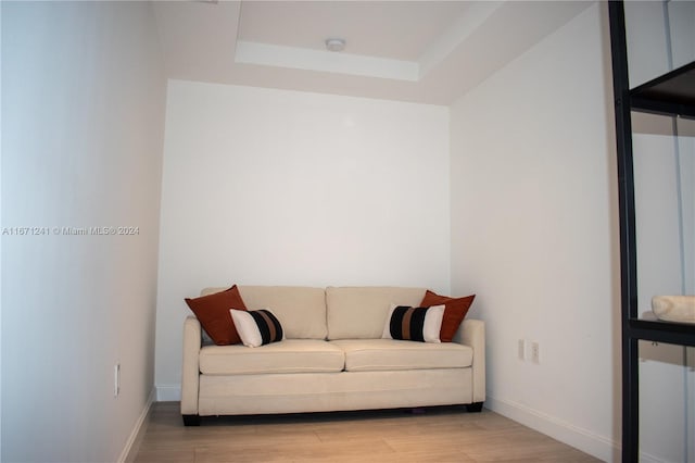 living room featuring light hardwood / wood-style flooring and a raised ceiling