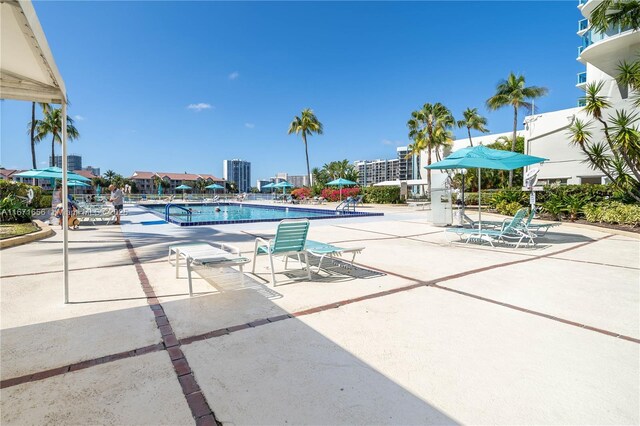 view of pool featuring a patio