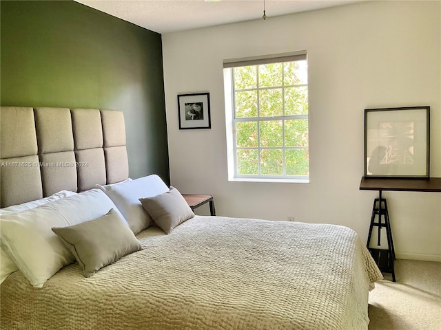 bedroom with carpet flooring