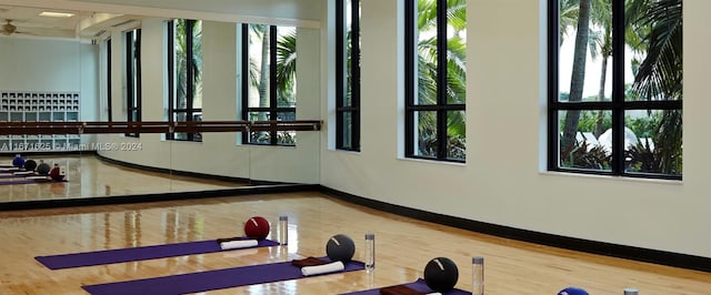 workout area featuring wood-type flooring, ceiling fan, and basketball court