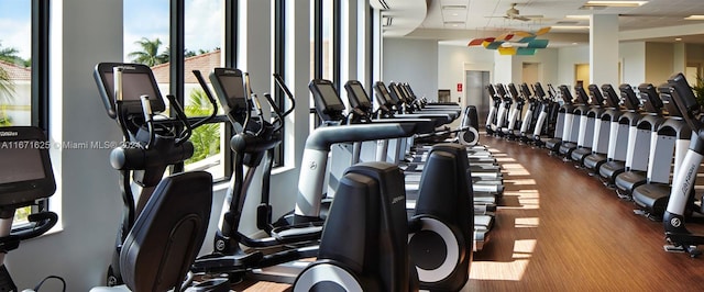 gym featuring ceiling fan