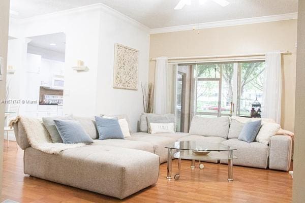 living room featuring ceiling fan, hardwood / wood-style flooring, and crown molding