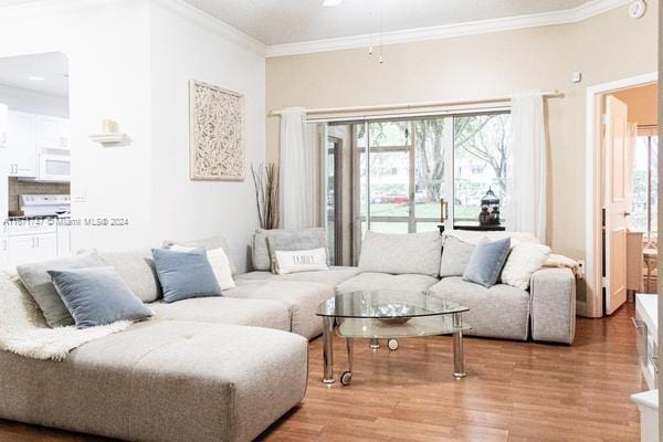 living room featuring plenty of natural light, light hardwood / wood-style floors, and crown molding