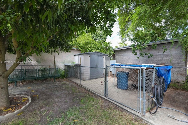 view of yard featuring a storage unit