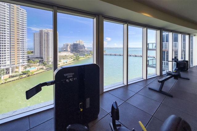 gym with floor to ceiling windows