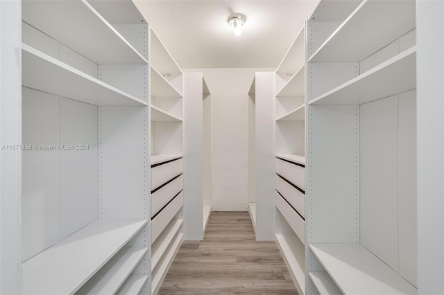 spacious closet featuring light hardwood / wood-style flooring